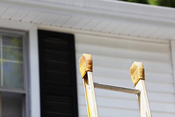 Best Stone Veneer Siding  in Antwerp, OH